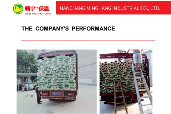 The Company's Performance