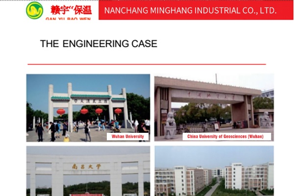 The Engineering Case