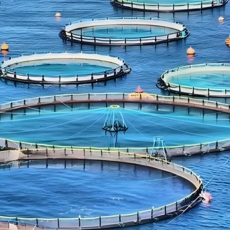 PE Fish Cage