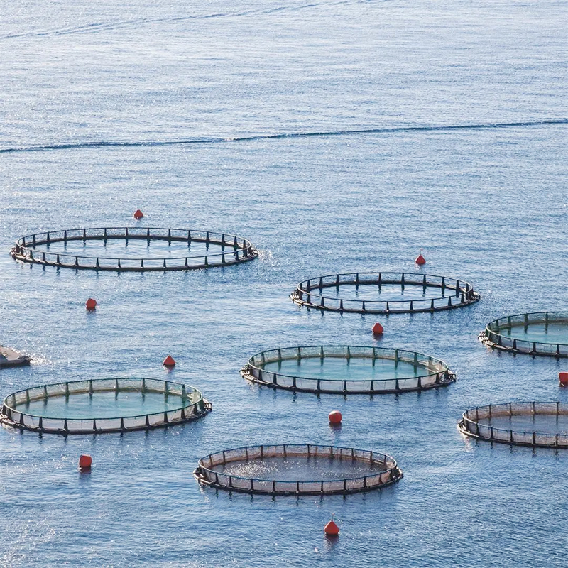 PE Fish Cage